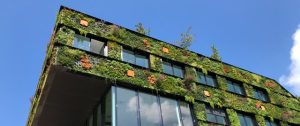الاستدامة في العمارة