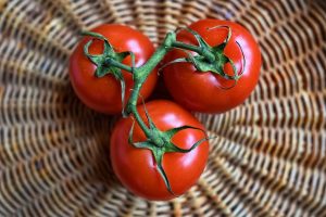بندورة - صورة تعبيرية لمقال كم إنتاج الطماطم في الزراعة المائية