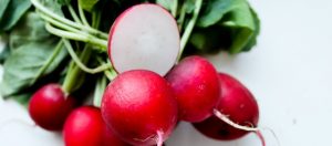 حبات من الفجل ذات لون أحمر وهي توضيحية لمقال حصاد الفجل